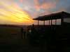 Sibuya Forest Camp - Sunset 
